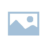 祝贺2017第十届中国（中山）国际游艺博览会盛大开幕